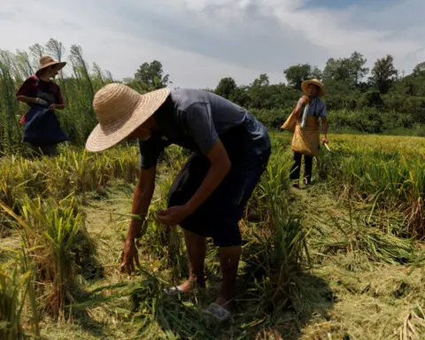 China passes new rural collective law to protect farmers' land rights