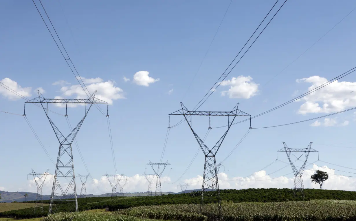 Electricity transmission towers stand over a coffee farm in Santo Antonio do Jardim