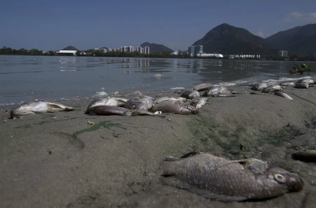 Brazil Lake Recovery