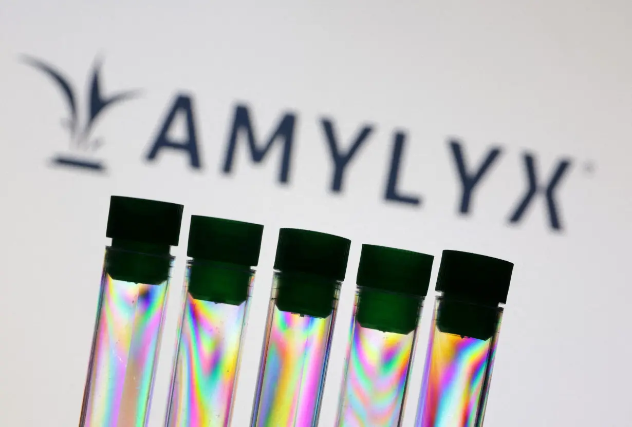 FILE PHOTO: Illustration shows Amylyx logo