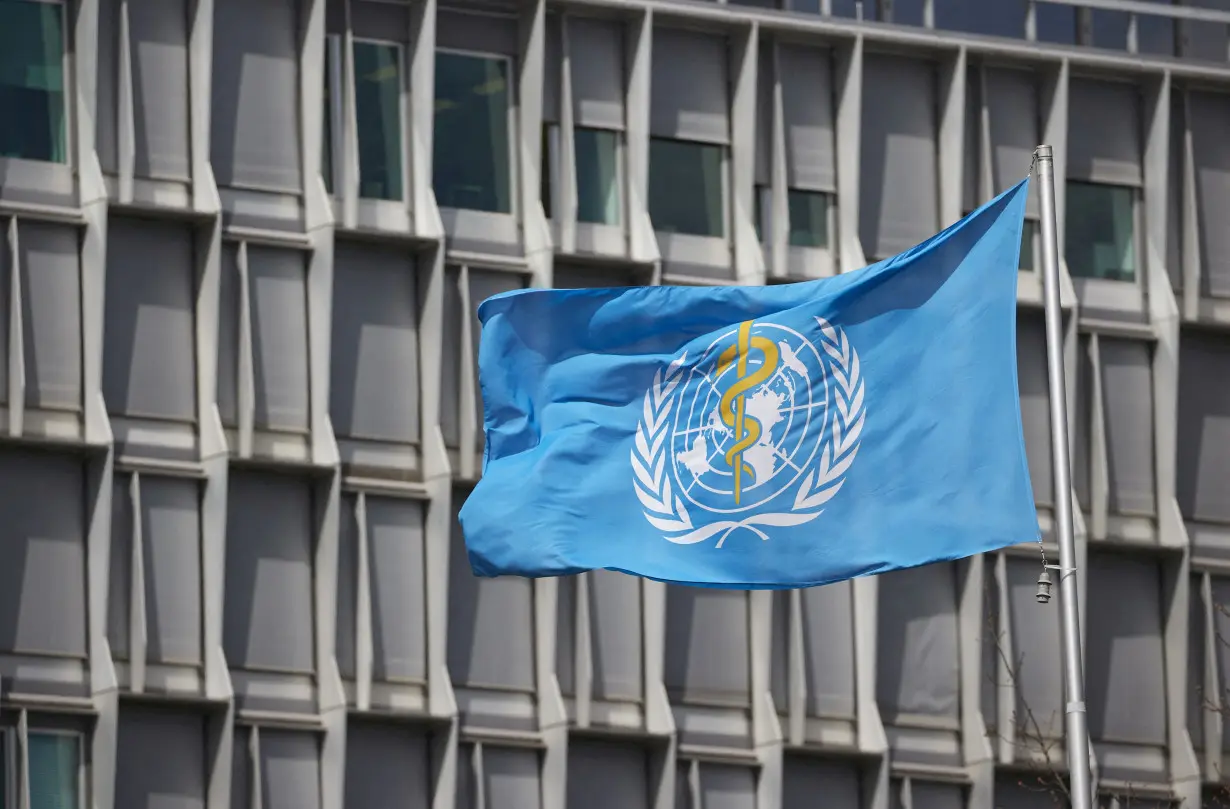FILE PHOTO: A flag is pictured outside a building of the WHO in Geneva