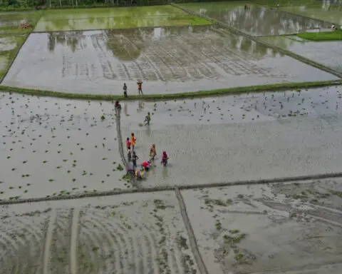 Climate change makes India's monsoons erratic. Can farmers still find a way to prosper?