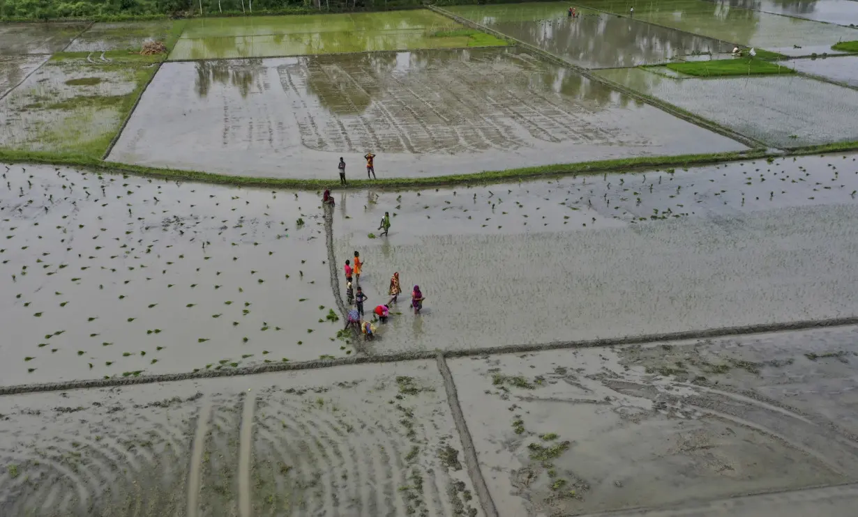 Climate India Monsoons