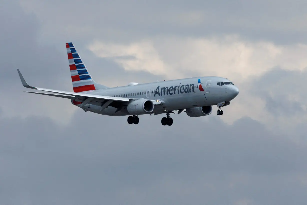 FILE PHOTO: An American Airlines commercial aircraft approaches to land at John Wayne Airport in Santa Ana, California