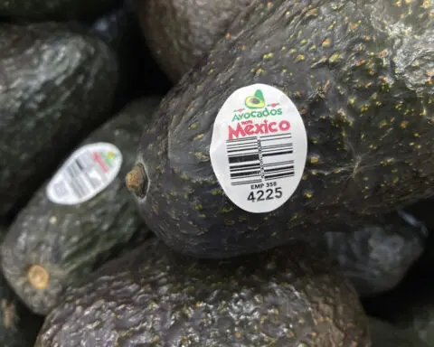 Assault on US avocado inspectors in Mexican state led to suspension of inspections