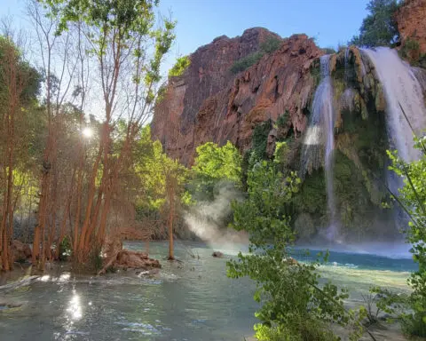 Dozens of hikers became ill during trips to waterfalls near the Grand Canyon