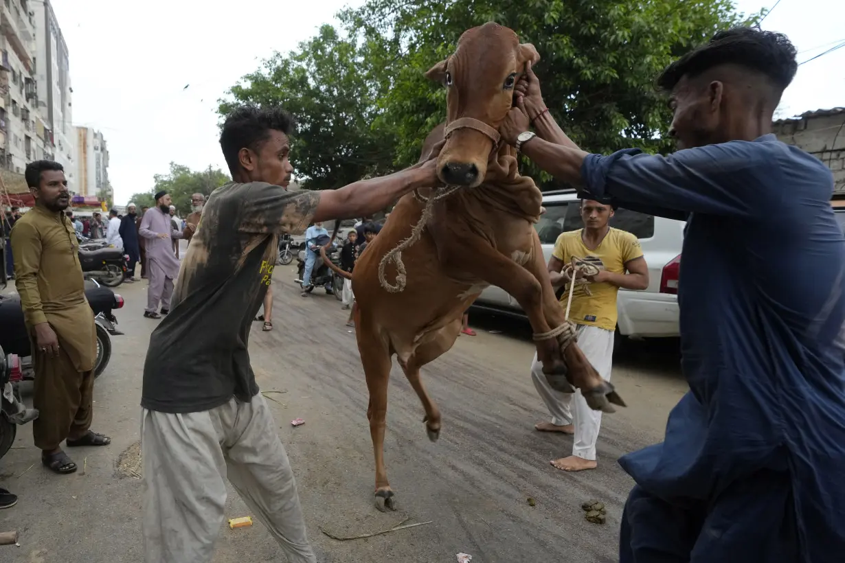 Pakistan Eid al-Adha