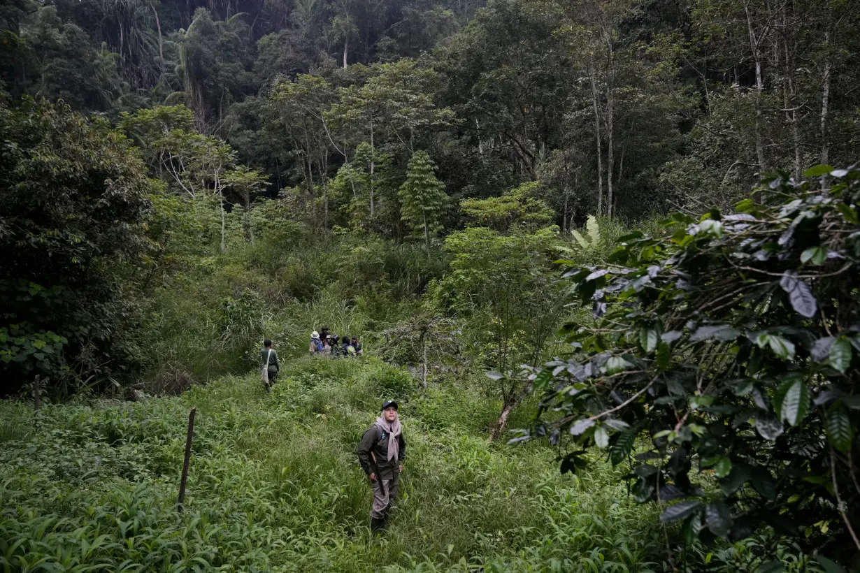 APTOPIX Indonesia Deforestation Female Rangers