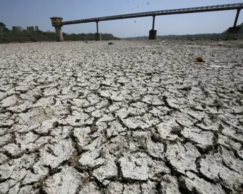 Worsening water crisis can weigh on India's sovereign credit strength, Moody's says
