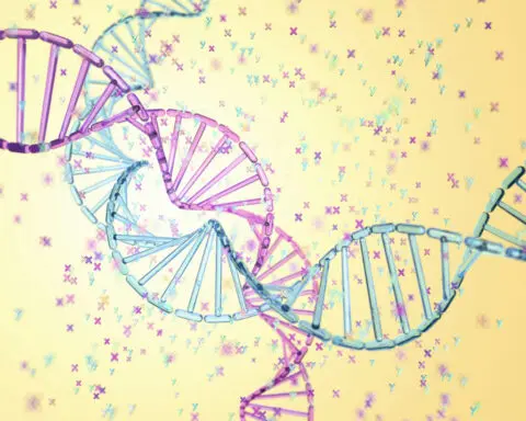 Genetic testing cannot reveal the gender of your baby − two genetic counselors explain the complexities of sex and gender