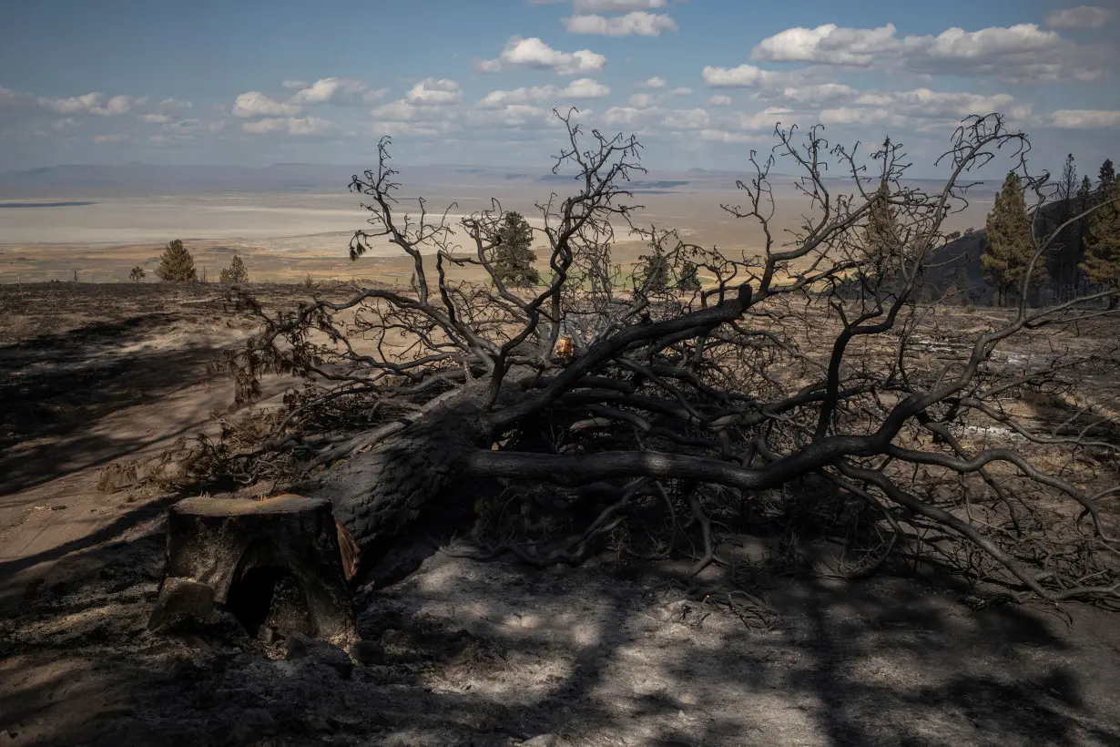 The Wider Image: Oregon inmates find redemption in fighting wildfires