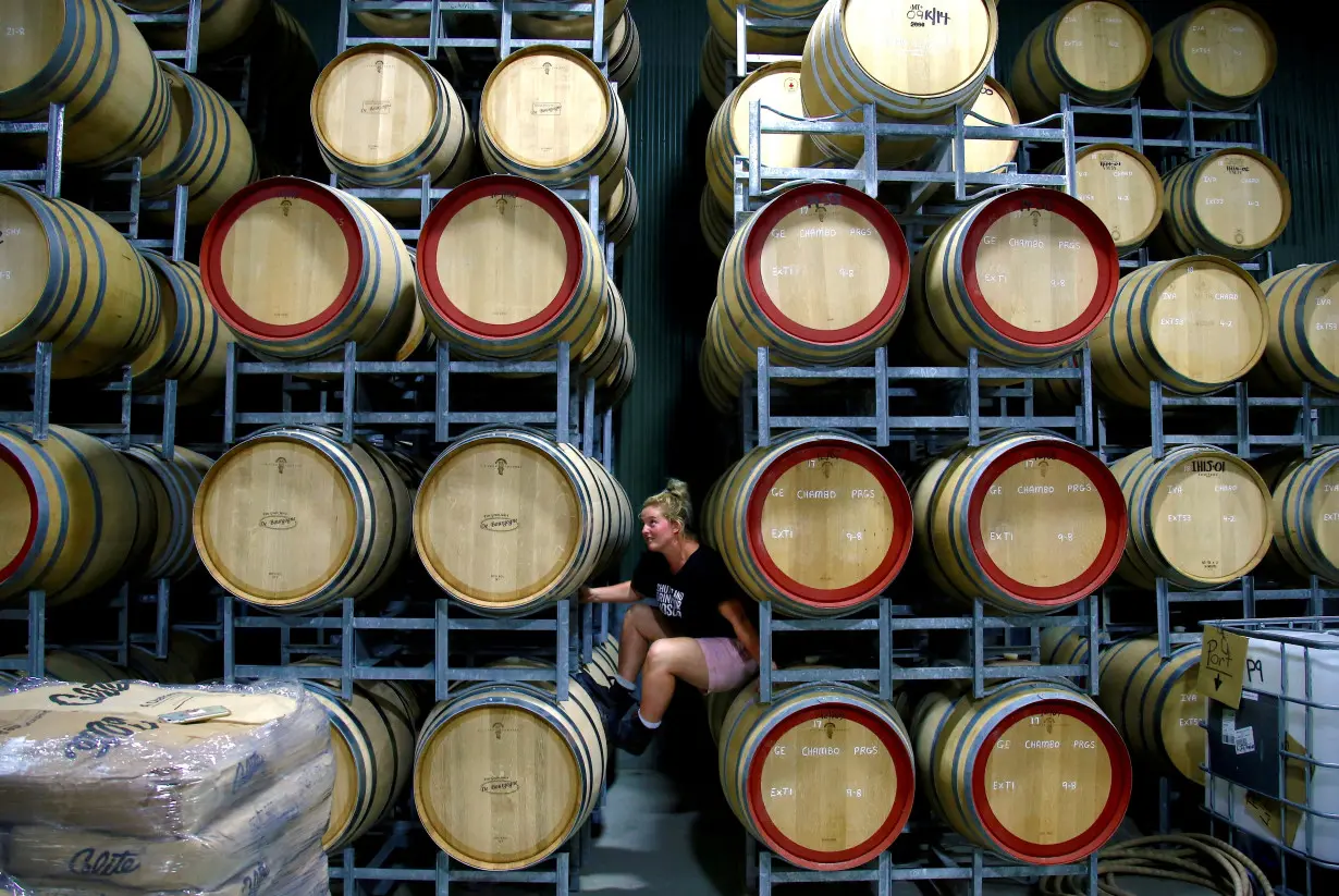 FILE PHOTO: Savannah Peterson, a Trainee Winemaker and daughter of owner Colin Peterson, sits between barrels of wine being stored at Petersons Winery in the Hunter Valley, located north of Sydney