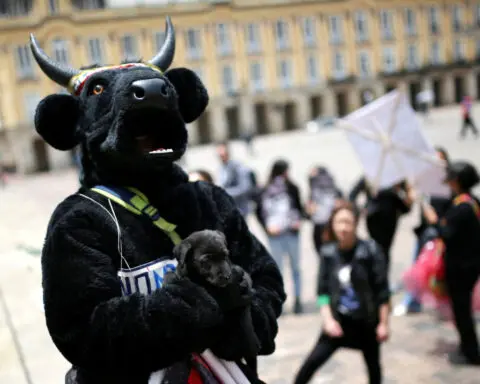 Colombia's Congress bans bullfights