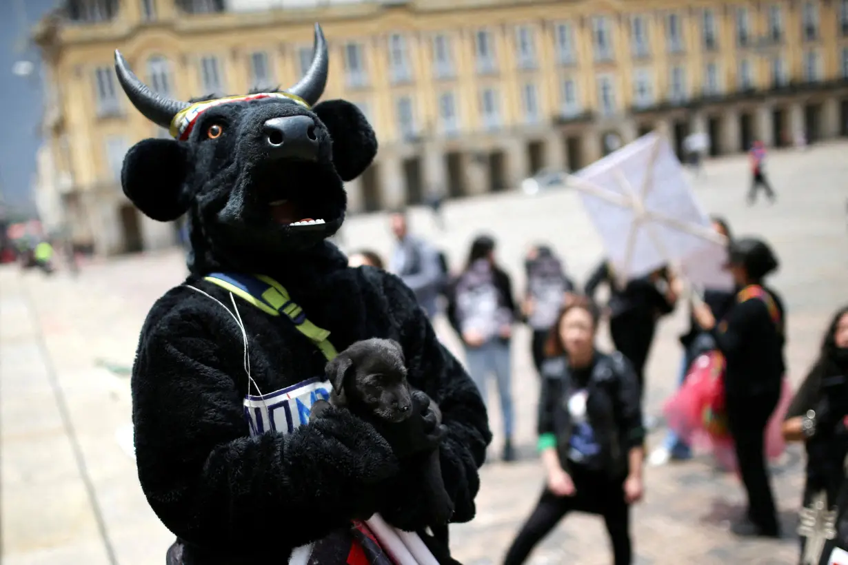 FILE PHOTO: An animal rights activist holds a puppy while taking part in a demonstration demanding the approval of a law that prohibits bullfights, cockfights and events where animals are abused, in Bogota