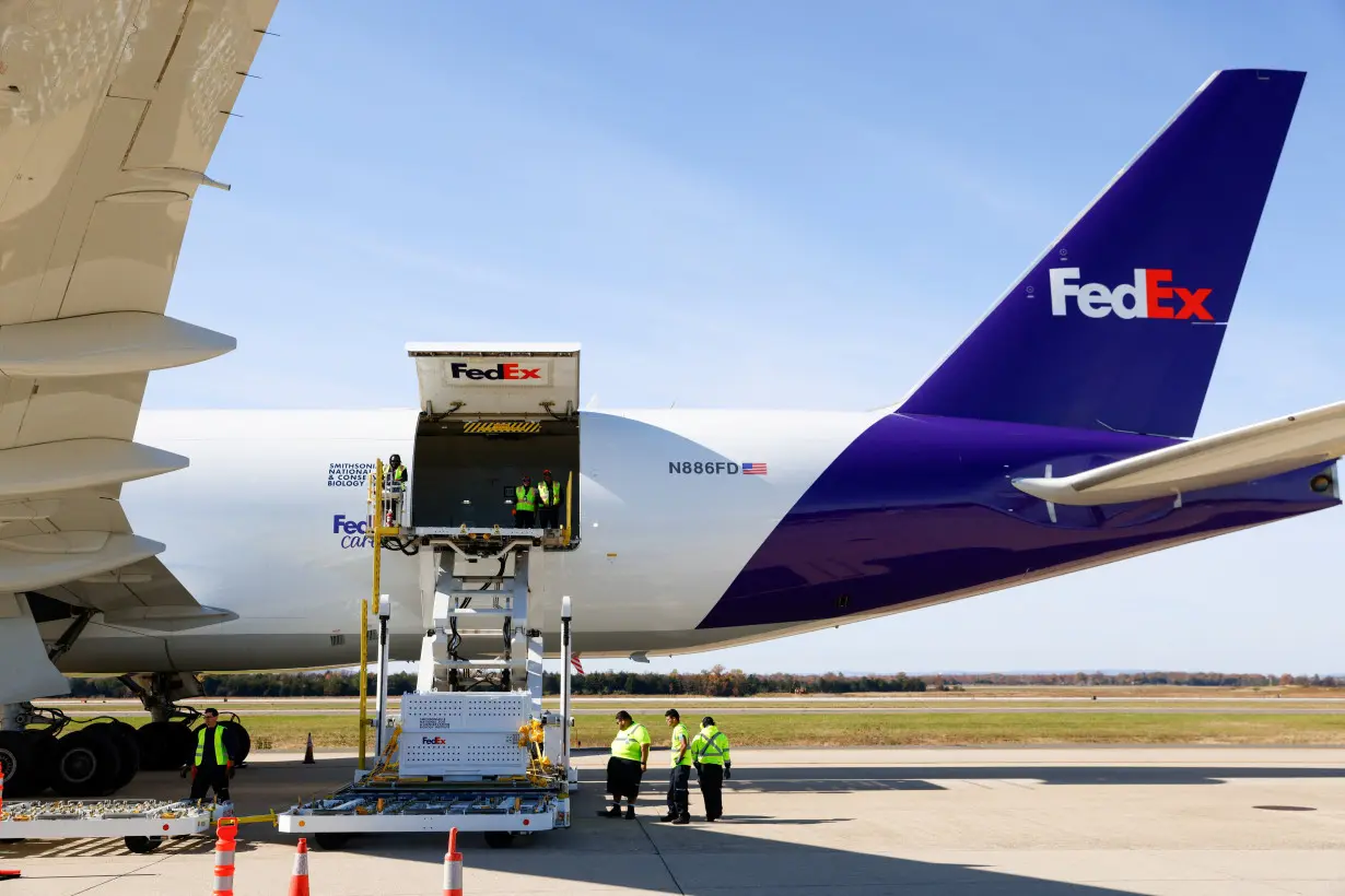 A crate holding a giant panda is loaded onto the 