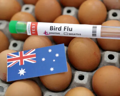 Bird flu hits McDonald's breakfasts in Australia