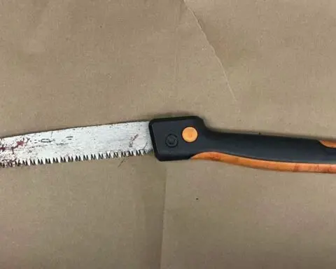 Woman attacked with pruning saw in fight