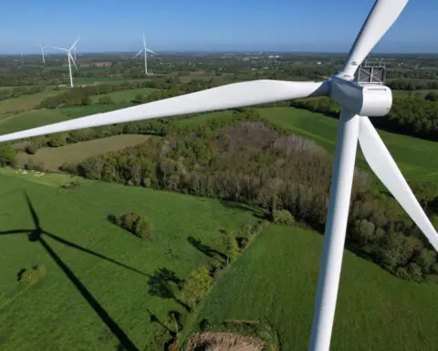 Companies setting climate transition plans up 44% in 2023, research shows