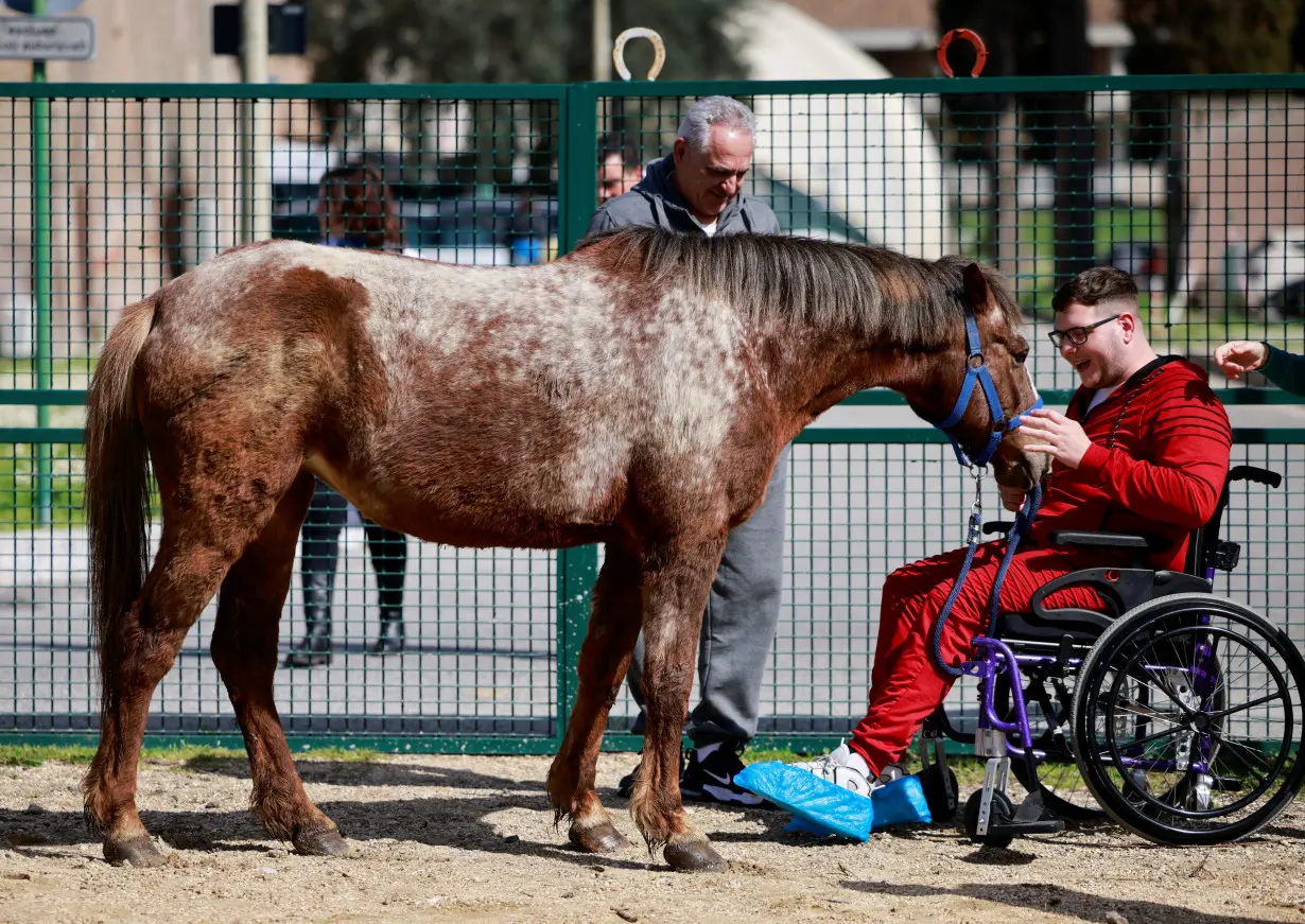 Hippotherapy patients in Rome