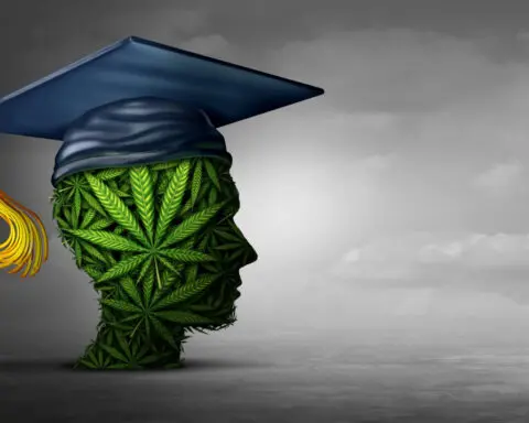 College applications rose in states that legalized recreational marijuana
