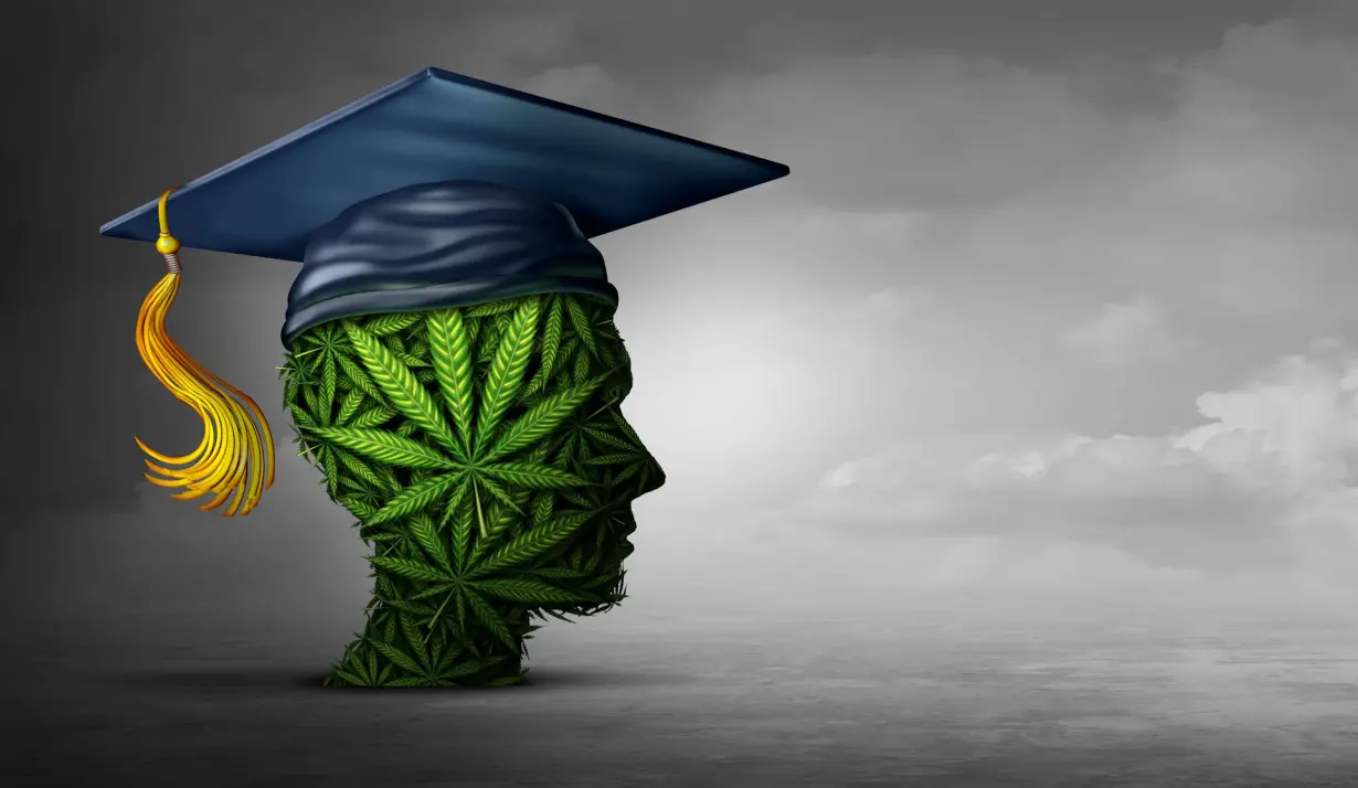 College applications rose in states that legalized recreational marijuana