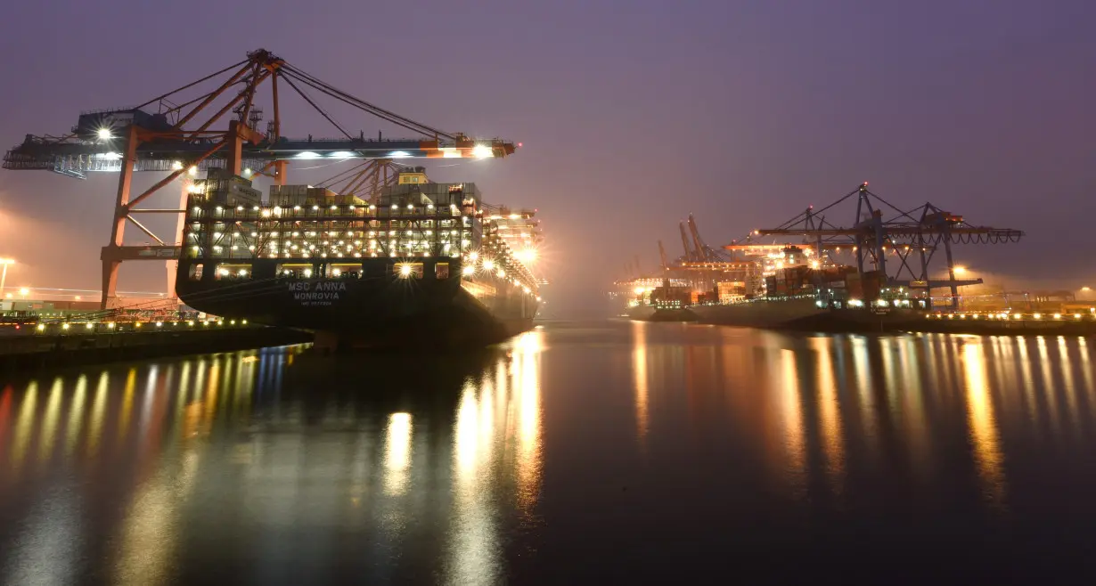 Containerships at loading terminals are seen in the port of Hamburg