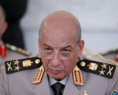 Egypt's Sisi names new armed forces chief of staff, defence minister