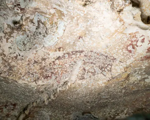 World's oldest cave painting in Indonesia shows a pig and people