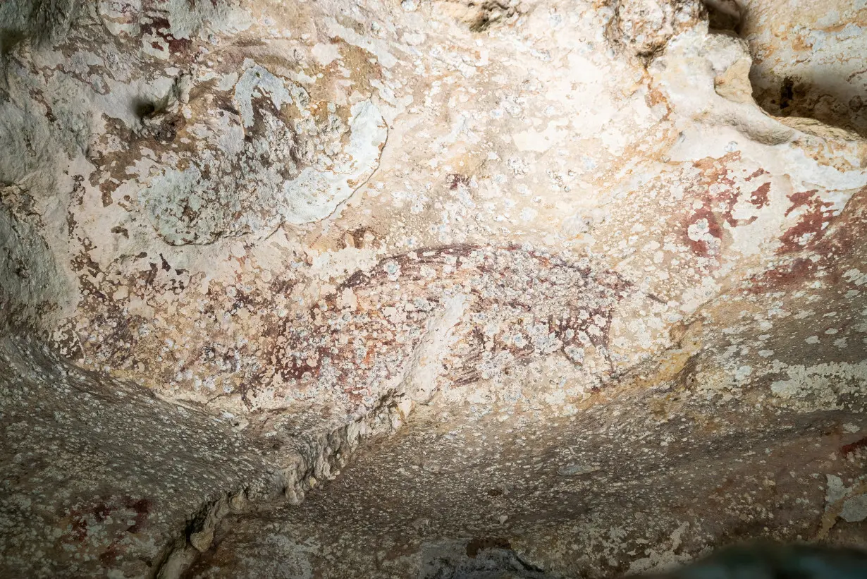 A handout image of a painting created at least 51,200 years ago in the limestone cave of Leang Karampuang portrays three human-like figures interacting with a wild pig