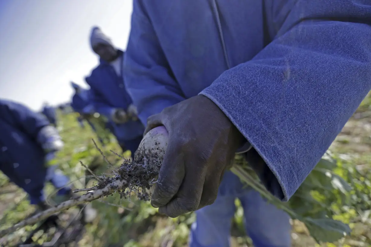 Prison to Plate Inmate Labor Heat