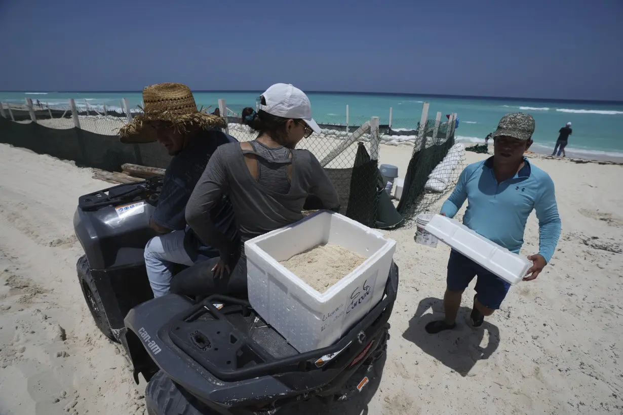 Mexico evacuates even sea turtle eggs from beaches as Hurricane Beryl approaches