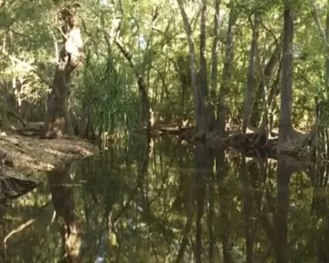 Police find remains of girl snatched by a crocodile while swimming in northern Australia