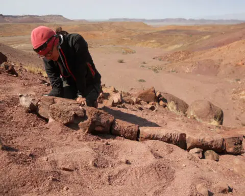 Namibia fossil is a prehistoric 'swamp thing' with menacing fangs