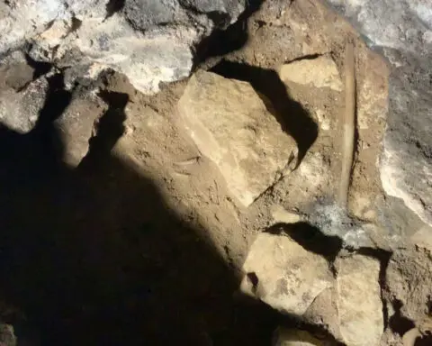 12,000-year-old ritual passed down 500 generations may be world’s oldest