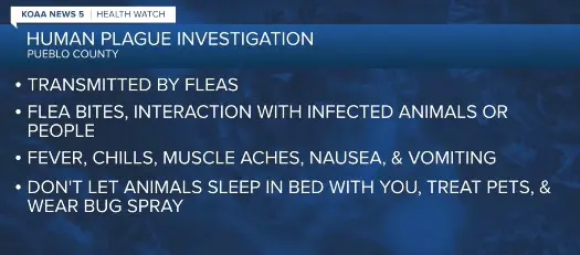 Health officials investigating human plague case in the county