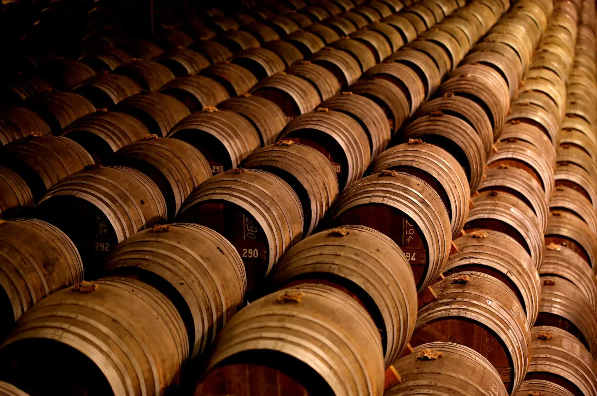 FILE PHOTO: Oak barrels are stored in a cellar used for storing rare and old cognac at the Remy Martin factory in Cognac