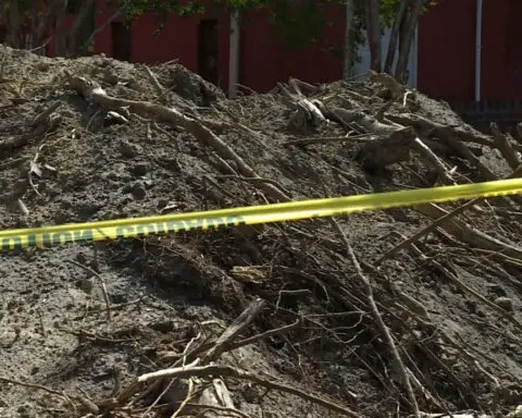 Tree removal at North Carolina church unearths centuries-old artifacts