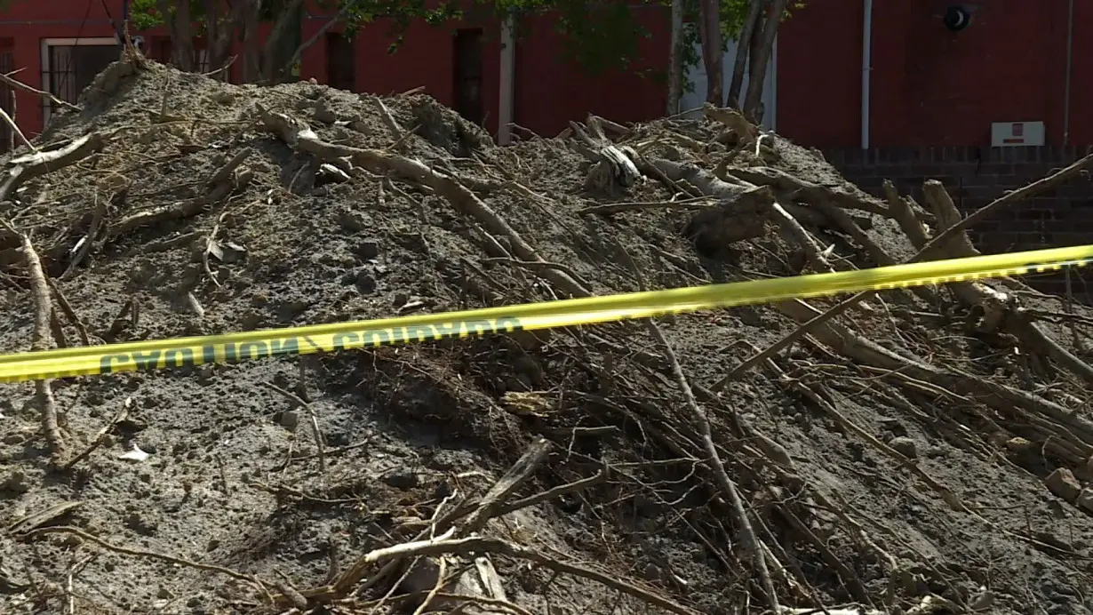 Tree removal at North Carolina church unearths centuries-old artifacts