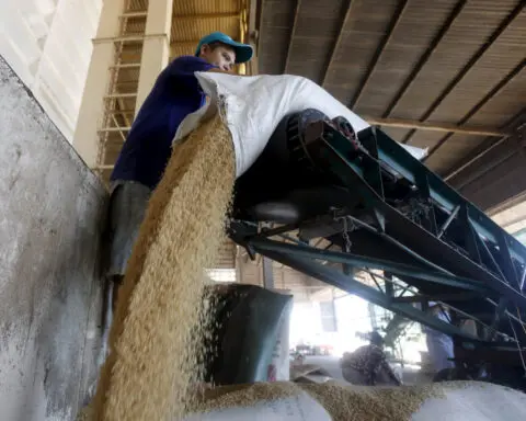 Philippines wants to boost rice cooperation with Vietnam to ensure food security
