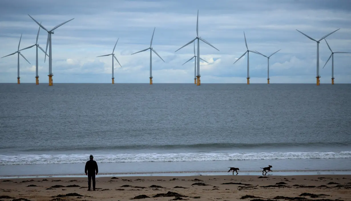 FILE PHOTO: A man walks his dogs on the beach in front of Teesside Wind Farm in Redcar, Britain