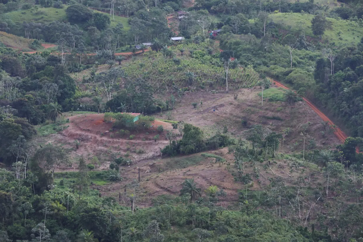 A deforested area in the middle of the jungle is seen during a military flyover in Tumaco