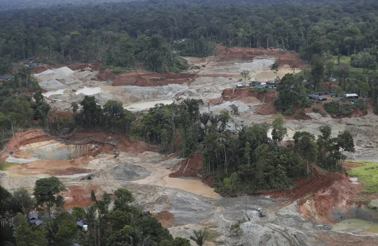 Colombia Deforestation Levels