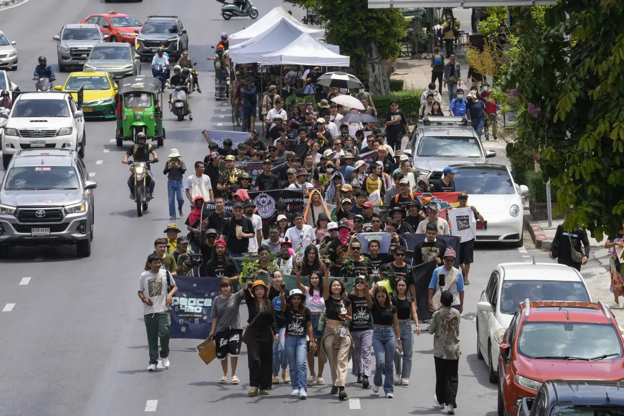 Cannabis advocates in Thailand protest a proposal to ban again its general use