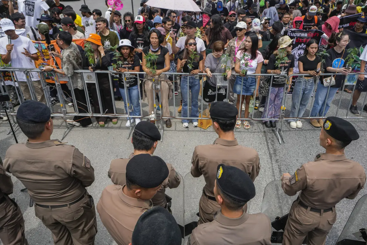 Cannabis advocates in Thailand protest a proposal to ban again its general use