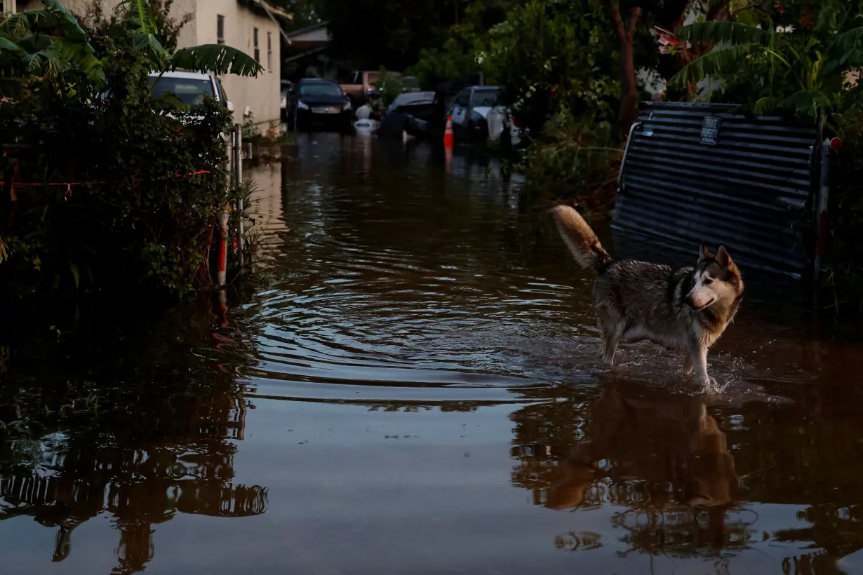 Aftermath of Hurricane Beryl, in Houston