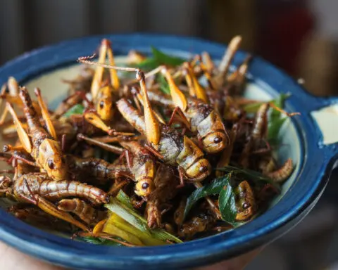 Silkworm satay? Singapore approves insects as food