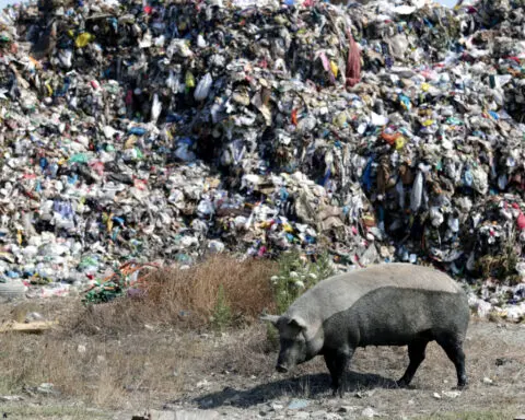 New EU Parliament less supportive of green agenda, documents show