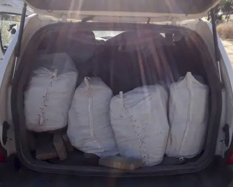 Mexico's efforts to seize US-bound fentanyl drop sharply, while seizures of meth soar