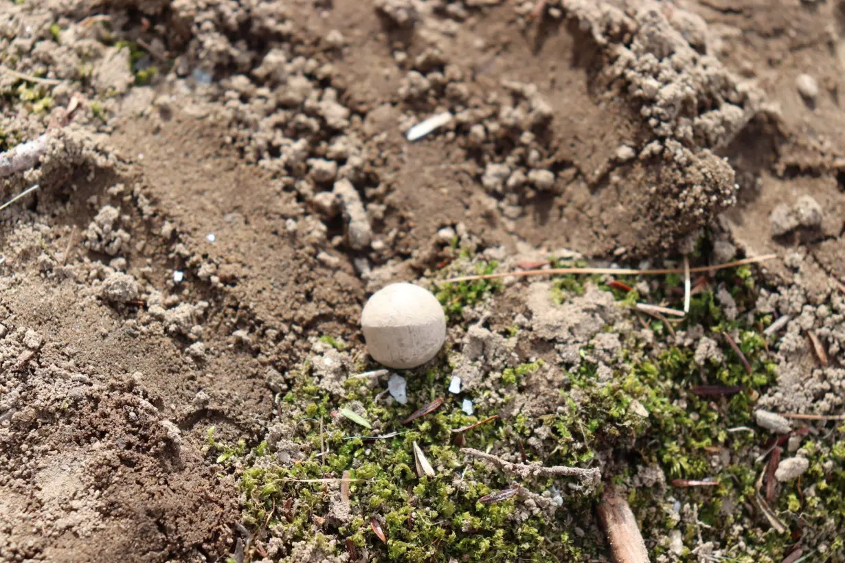 'Shot Heard Round the World' musket balls recovered from site of famous first-day Revolutionary War battle