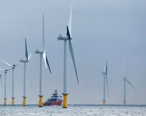 Aggressive climate action needed to preserve stocks' value, paper says